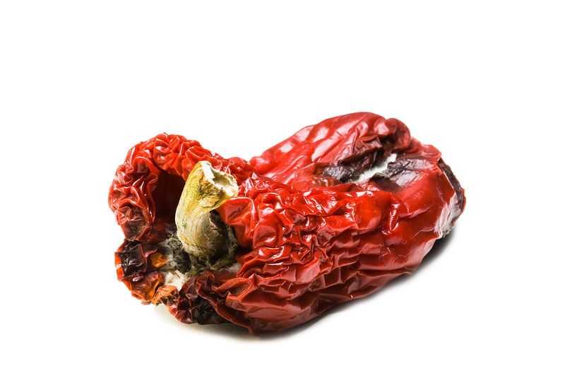 Impermanence par Geertjan Plooijer