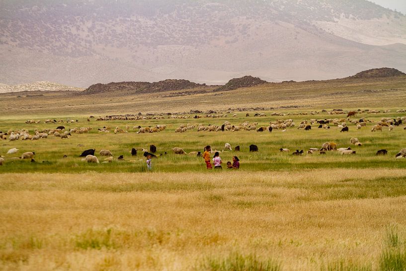 Children of nomads in High Atlas by Easycopters