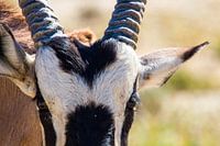 Nahe und doch weit weg