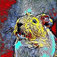 Color Kick Animal - Guinea Pig 4