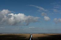 Marais salé au nord de Groningue