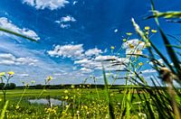 Betuwe, lente, nederland