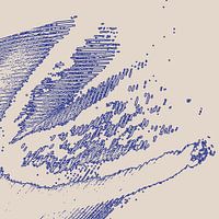 Fezā - Patroon van een Veer Lijn Print