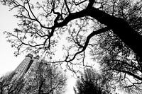 Black and white image of the Sagrada Familia in Barcelona