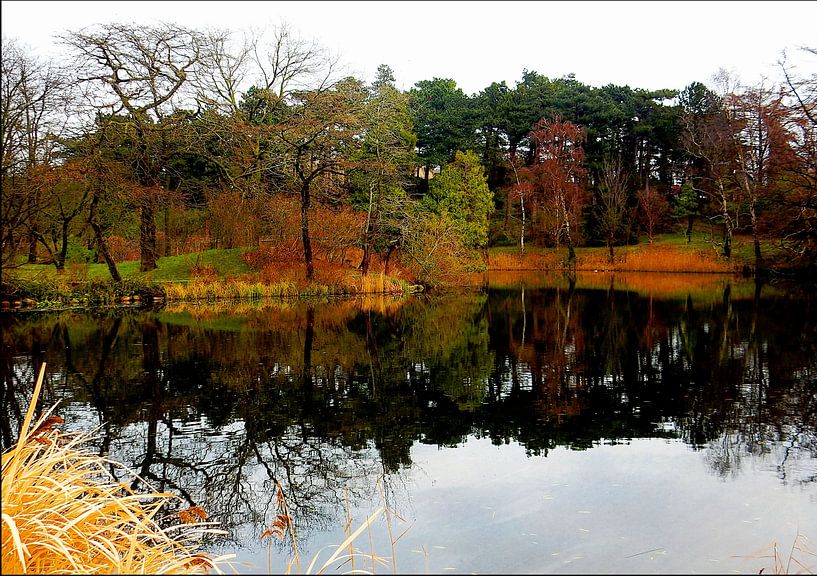 Réflexions sur le jardin botanique de Copenhague par Dorothy Berry-Lound