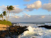 Lavastrand in Hawaii