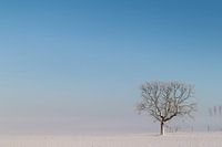 verstild winterlandschap