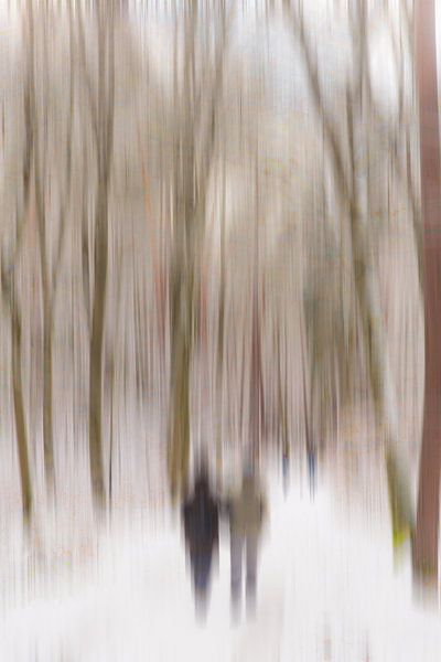 Promenade en forêt en hiver par Dieter Walther