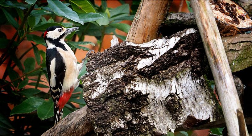 Grand Pic par Loek Lobel