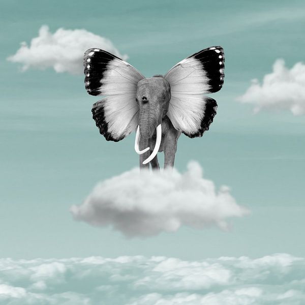 Animal Combiné von Marja van den Hurk