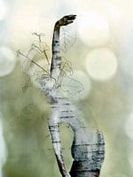 Zielen van de bomen - Dansende berk