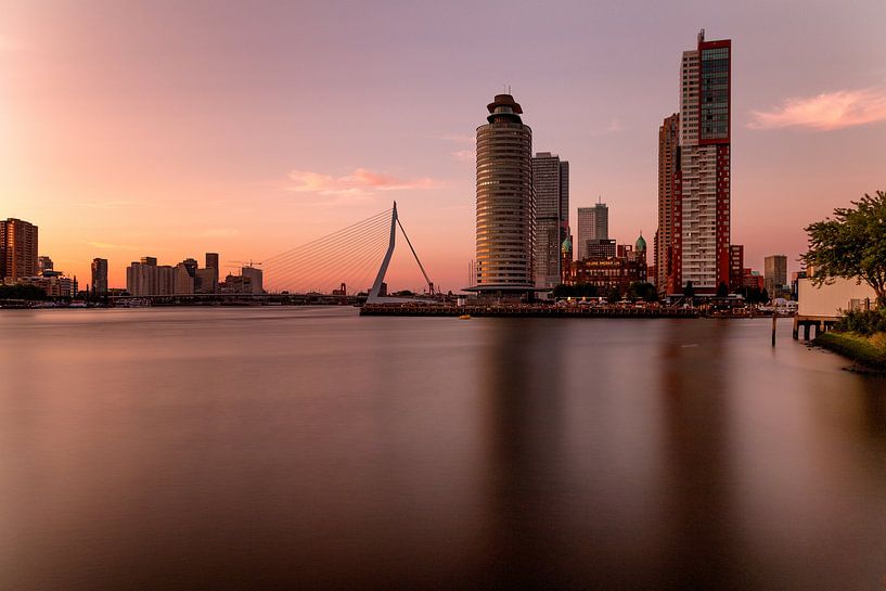 Wilhelmina-Papier 2 von Nuance Beeld