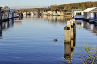 Nachbarschaft der Hausboote