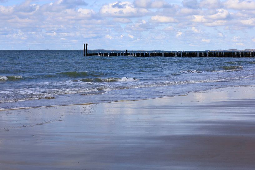 Noordzeekust in Nederland van Thomas Jäger