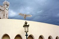 Bild von einem Vogel auf mauer der Königspalast von Monaco