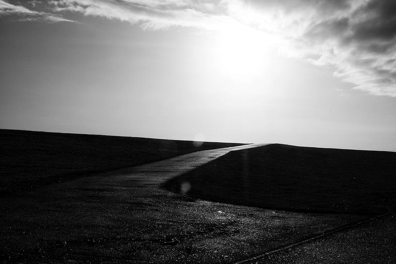 Gegenlicht von Heiko Westphalen