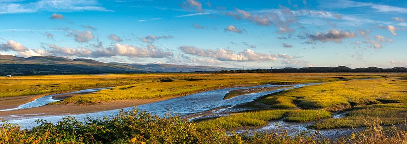 Dry land on the coast of the Irish Sea, Wales by Rietje Bulthuis