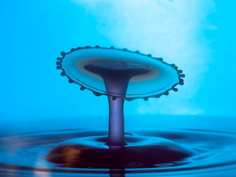 Blau von Enak Cortebeeck