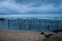 paalvissers te Sri Lanka.