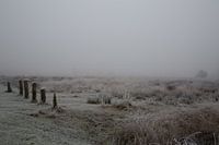 Mist en rijp in Drenthe