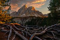 Dolomites Dream