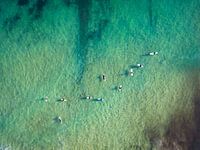 Surfers near Lagos (Portugal), waiting for the next wave