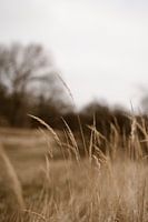 L'appel de la nature