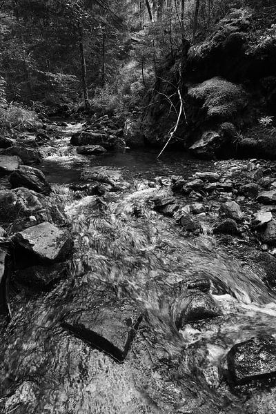 Der Riesbach im Riesloch bei Bodenmais 7 von Jörg Hausmann