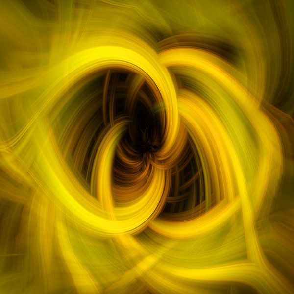 Résumé de l'automne par Ingrid Van Damme fotografie