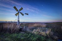 Polder van Schellinkhout, voor zonsopkomst