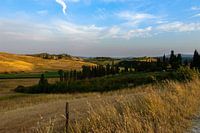 Gouden uur in Toscane - Italie
