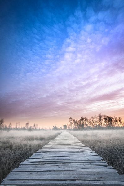 Lever du soleil d'hiver au Limbourg par Jeroen Mikkers