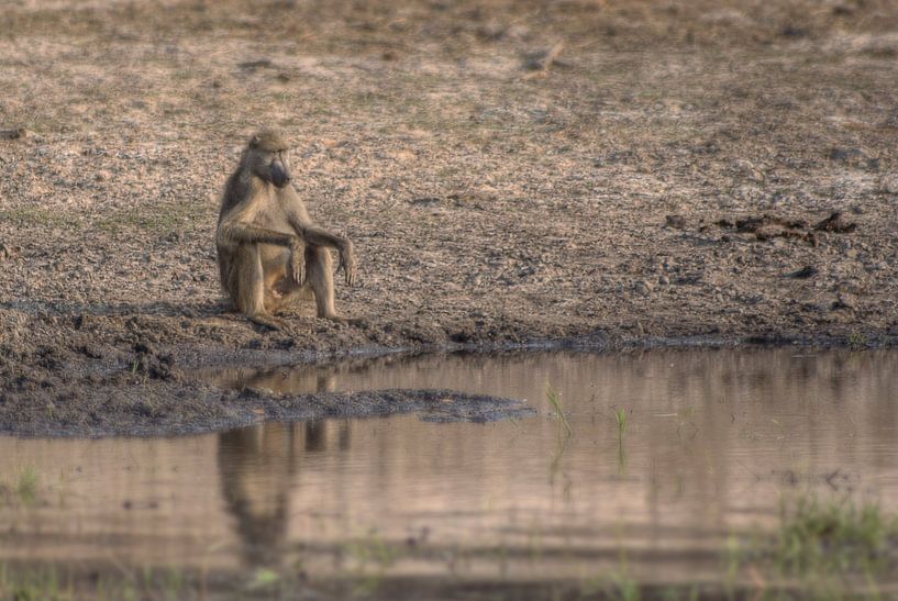Herr Idontcare von BL Photography