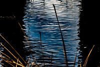 Abendstimmung Wasser