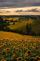 Southern French Landscape