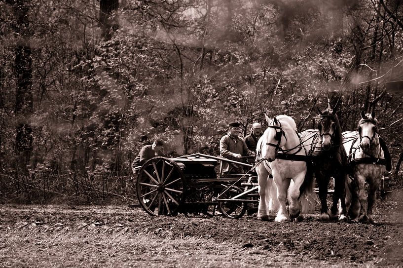 zaaien met het driespan by Babette Veenendaal