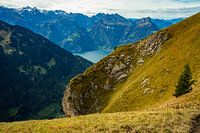 Berge in der Schweiz