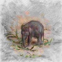 Artistic Animal Baby Elephant