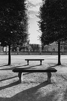 Symmetrische Bänke in Schwarz und Weiß