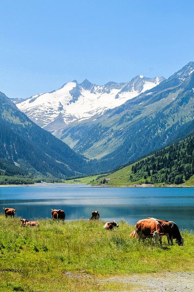 Prachtig Oostenrijk von Ronald De Neve