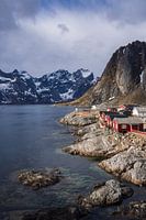 Typische visserhuisjes op houten palen op de Lofoten in Noorwegen