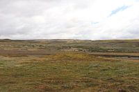 Icelandic plain