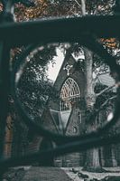 À travers l'œil du temps