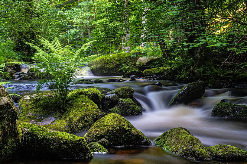 An der Eyach von Monika Scheurer