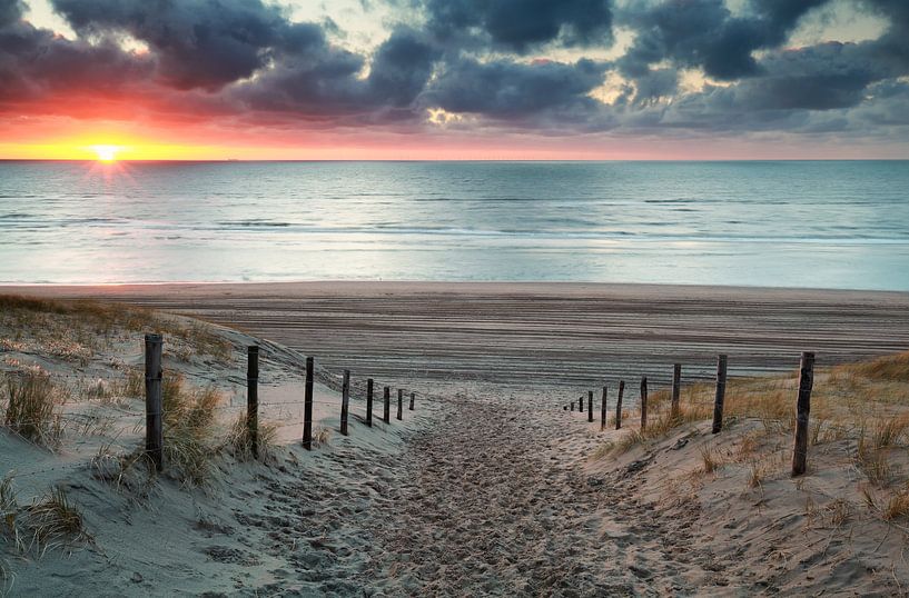 sand path to North sea beach at sunset par Olha Rohulya