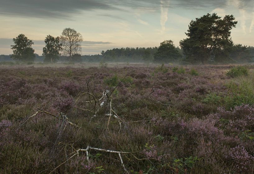 Morning has broken III by Hans Koster