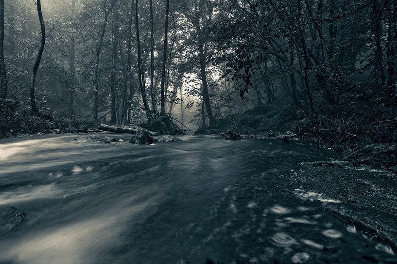 Herbst im Wald..... von Jacqueline Lemmens