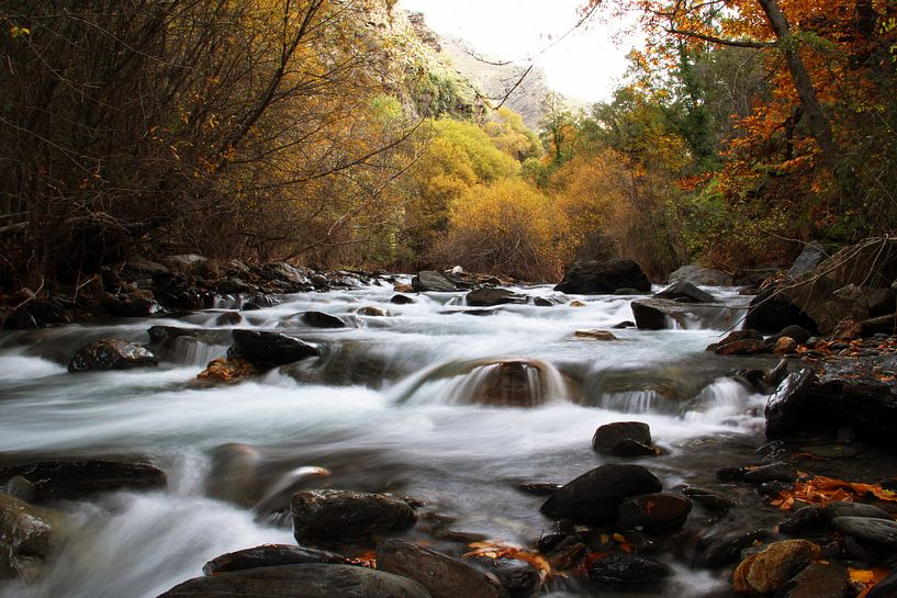 Der Herbstfluss von Cornelis (Cees) Cornelissen