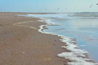 "Close-up Maasvlaktestrand".