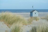 Drowning house from dune